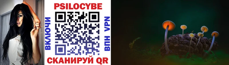 Купить закладки  Воркута  Галлюциногенные грибы Cubensis 